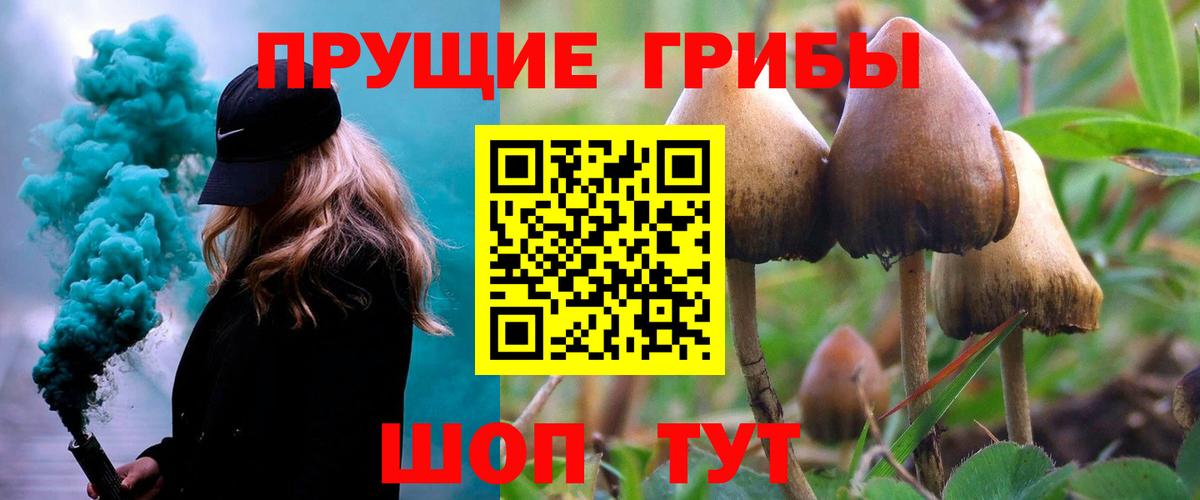 Псилоцибиновые грибы ЛСД Майский